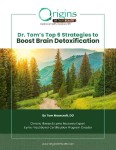 Top 6 Brain Detox Strategies